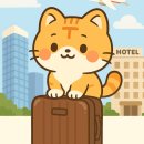 E 팰리스 호텔(E PALACE HOTEL) | [티캣의 트래블로그] 인도 첸나이 출장기 - 이화 팰리스 호텔