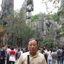 (주)다모아관광여행사 이미지