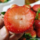 광석농장 이미지