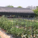 이원규농장 이미지