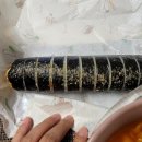 하늘사다리 티스토리