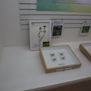 한남대학교 자연사박물관 이미지