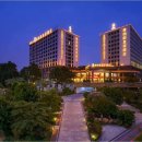 비너스나이트클럽 이미지