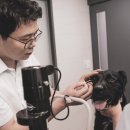 정직한 동물병원 이미지