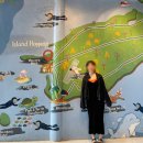 산호환경 | 보홀여행 - 나팔링 스노클링·돌고래·산호 투어 내돈내산 리얼 후기 [로컬페이지]