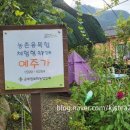 예주농장 이미지