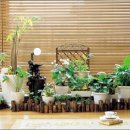 미니정원 이미지