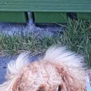 월백 민박 이미지