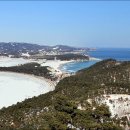 소나무와 호수 이미지