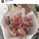 이오니플라워 이미지