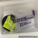 밥도둑이 나타났다 ! 정말 반찬에 진심인 반찬애진심의 조개젓 솔직 후기 🍚