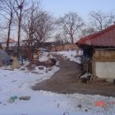 영순상회 이미지