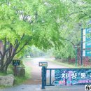 가마골어린이공원 이미지