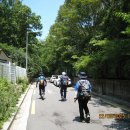 동산근린공원 이미지