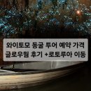 글로우투어 | 와이토모 동굴 투어 예약 가격 위이토모 글로우웜 케이브즈 반딧불 후기 오클랜드에서 로토루아 가는법