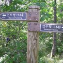 노루메기 이미지