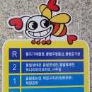 허니비모바일 | 아이랑 갈만한 곳 대구근교 칠곡 꿀벌테마파크(꿀뜨기 체험후기)