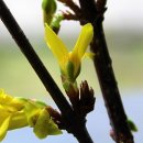 어린이 놀이영어 이미지