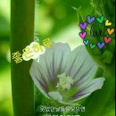 까불지마라