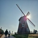 학동해송횟집 | 고로쇠 물회 완전 강추 거제 바람의 언덕 맛집 해송 횟집