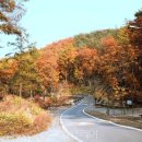 숲속의야영장 이미지