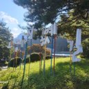 도담삼봉 | 도담삼봉 후기