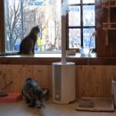 집사의하루 남포점 이미지