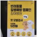 정직한동물의료센터 이미지