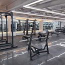 윌 휘트니스 이미지