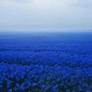 Sweet stay at Joy's | 미루지 말고 올바른 시간에 올바른 일을 하십시오