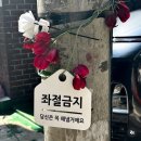 조금만천천히 이미지