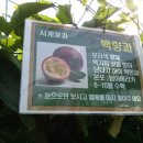 로하스아카데미주 이미지