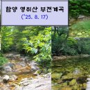 [제1133차] 함양 영취산(8월 17일) 산행공지 이미지