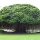 나무호텔 이미지