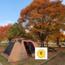 자라섬캠핑장2(A사이트) 이미지