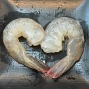 바위섬횟집 | 홍성] 2025년 홍성 남당항 대하축제(8/22-10/20) | 206호 바위섬횟집 가을세트 B코스 내돈내산 솔직후기