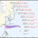 버들