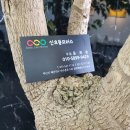 (주)네스팅 이미지