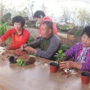 다사농장 이미지