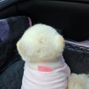청도 에이스캠핑장 후기