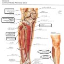 안아픈세상한의원 이미지