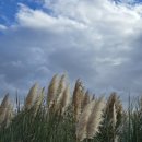 무지개클럽 | 진해 아라미르 골프클럽 후기: 무지개가 뜬 날 라운딩