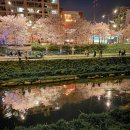 강아지와 나 이미지