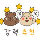 사지목 나무그늘 이미지