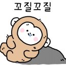 김원장캠핑 이미지