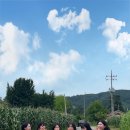 선이네 나무집 이미지