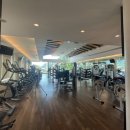 스위트 피피 이미지