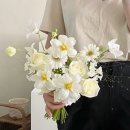 유토피스트 이미지