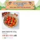 재수농장 | 올웨이즈 올팜에서 농작물 키우기하고 농작물 무료로 배송받기 방울토마토 수확 후 감자 키우기 도전