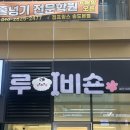 루이비숀 네이버블로그